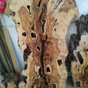 Rodajas de madera olivo